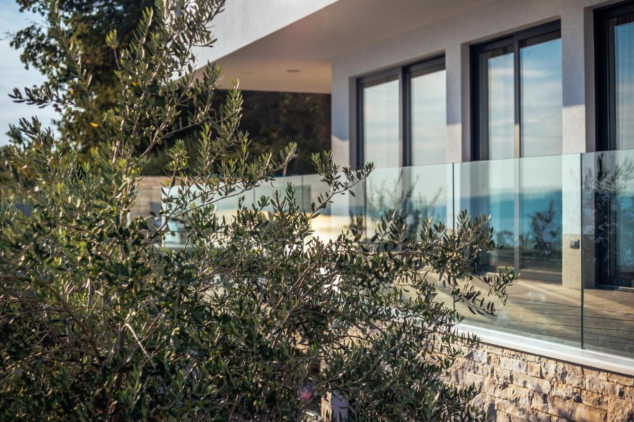Villa Dispet With Heated Pool, Jacuzzi, Sauna And Cinema Celina Zewnętrze zdjęcie